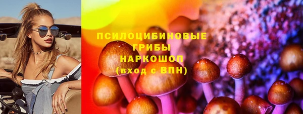 2c-b Бородино